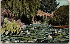 CA-California, A Pond of Water Lilies In Winter, Lush Greenery View, Postcard picture