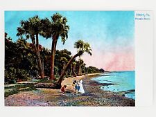 Palmetto Beach, Tampa, Florida 1905 Postcard - METALLIC LUSTER GleeBeeCo #PL19 picture