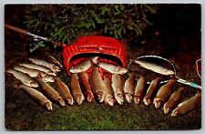 Fishermans Dream Fish Caught Postcard UNP VTG Dexter Unused Vintage Chrome picture