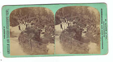 Stereoview, Ropes, Prospect Park, Ambergill Brook picture