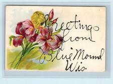 GREETINGS From BLUE MOUND, WI Wisconsin  Embossed with Flowers c1910s  Postcard picture