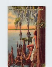 Postcard Study in Knees at Cypress Gardens Florida USA picture