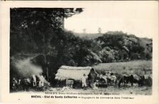PC CPA BRAZIL, STATE OF SANTA CATHARINA, TRAVELERS, VINTAGE POSTCARD (b11360) picture