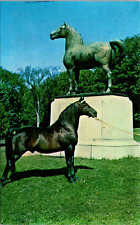 Morgan Stallion & Statue Of Justin Morgan-Morgan Horse Farm-Weybridge, Vermont picture