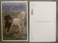 Lantern Press Postcard Be Wild Nevada Horses picture