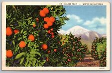 Golden Tropical Fruits Winter California Cal CA Snow Capped Mountain Postcard picture