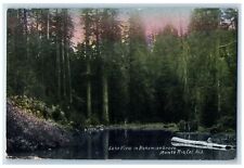 1913 Lake View Bohemian Grove Scene Monte Rio California CA Posted  Postcard picture