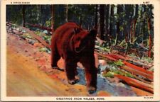 Walker MN-Minnesota Brown Bear Vintage Postcard picture