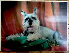 Vintage 3D Lenticular Schnouser Dog , 12x16” By Victor Anderson 3D Studios NOS picture