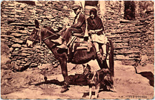 Man & Woman on Horseback Gun & Hunting Dog Corsica France 1910s RPPC Photo picture