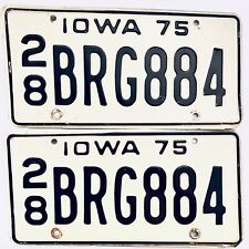 1975 United States Iowa Delaware County Passenger License Plate 28 BRG884 picture