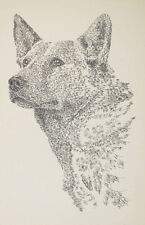 AUSTRALIAN CATTLE DOG ART #94 Signed Kline Word Drawing. Dogs name added free. picture