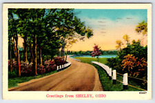 Original Old Antique Vintage Postcard Greetings Landscape Road Shelby Ohio 1941 picture