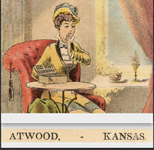 Atwood KS 1800's Reilly General Store Fort Dearborn Plug Tobacco Chew Trade Card picture