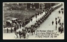 Slim Moorehouse driving 36 horses drawing 10 wagon loads of Marqui- Old Photo picture