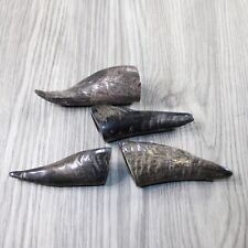 4 Small Polished Cow Horns #6246 Natural colored picture