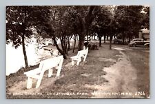 Worthington MN-Minnesota, RPPC Lake Okabema Chautauqua Park, Vintage Postcard picture