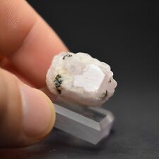 CLASSIC  Morganite Crystal (Nuristan, Afghanistan)  -  # 213 picture
