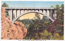 BLACK HILLS, SD South Dakota BEAVER CREEK BRIDGE~Wind Cave Park c1920's Postcard picture