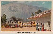 Stone Mountain Scenic Railroad Mountain Station Artistic PC c1960s UNP 7689.1 picture