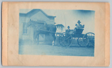McKinley One Cent Postcard~ Blue Photo~ Two Men, Horse Drawn Carriage, & Dog picture