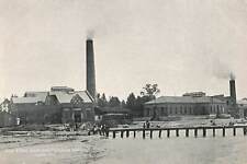 Lorain, Ohio Postcard New Filter Plant and Pumping Station c1906            D1 picture