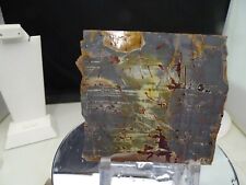 AWESOME SENORAN DENDRITIC JASPER SLAB MULTIPLE COLORS AND PATTERNS SOLID NICE picture