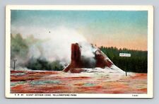 c1927 WB Postcard Yellowstone National Park WY Giant Geyser Cone picture