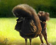 ✿ ORIGINAL Oil Portrait Painting BLACK POODLE Artist Signed Artwork Puppy Dog picture