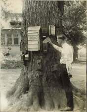 1926 Press Photo Henry Sasse receives his mail at postal tree in Morris Lane picture