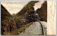 Catskill Mountains New York 1906 Postcard Stony Clove Notch Train  picture