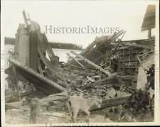 1952 Press Photo Goats wander through ruins caused by hurricane in Cuba picture