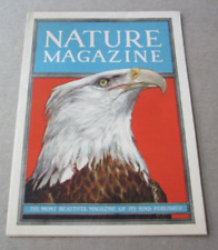 Old Vintage c.1920's - NATURE Magazine - Advertising Brochure - EAGLE picture