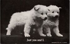 RPPC 2 Furry White Puppies B/W J.G.Steele 1911 Copyright P.UN. Z403 picture