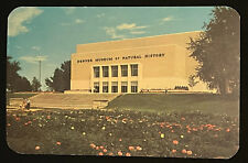 Denver Museum of Natural History Building Colorado Postcard picture