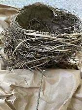 Abandoned Natural Ohio Bird Nest Robin? Sparrow? Ornithology School picture