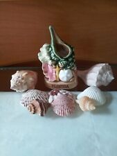 Vintage JAPAN Toothpick Holder Florida Travel Souvenir w/Handpicked Seashells picture