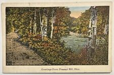 Greetings from Pleasant Hill Ohio OH Vintage Postcard picture
