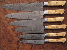 6 Pc's Beautiful Custom hand made Damascus steel Chef knife Set. (ZE-1071-BR-RB) picture
