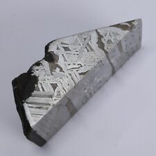 151g Muonionalusta meteorite slice R2039 picture
