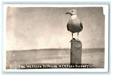 1943 The Western Michigan Weather Prophet Ludington Michigan MI RPPC Postcard picture