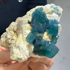 431G Rare transparent blue cubic fluorite mineral crystal sample / China picture