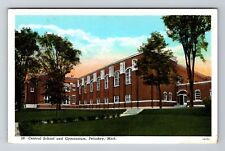 Petoskey MI-Michigan, Central School & Gymnasium, Vintage Postcard picture