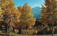 Postcard CO Autumn Foliage with Pikes Peak in Background Chrome Vintage PC H4688 picture