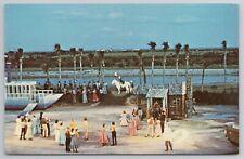 Mary Moody Northern Amphitheatre Galveston Island State Park Texas Postcard picture