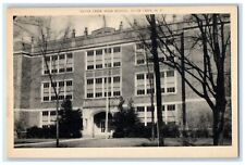 c1920s Silver Creek High School Exterior Silver Creek New York NY Trees Postcard picture