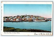 c1905 Birds Eye View Houses Buildings Seaside Harbor Of Lubec Maine ME Postcard picture