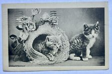 Kittens With Roses And A Hat. 1911 Vintage Cat Postcard picture