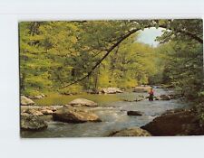 Postcard A Fishermans Paradise Raritan River New Jersey USA picture