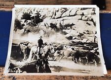 Antique Vintage Western Photo Cowboys GAUCHO cattle Round Up ARGENTINE or USA picture